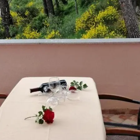 Sara 1 Makarska